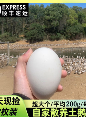 鹅蛋孕妇农家散养土鹅蛋