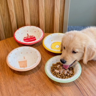 卡通猫碗陶瓷宠物罐头碗狗狗餐盘子幼猫饭碗小型犬粮碗迷你零食盆