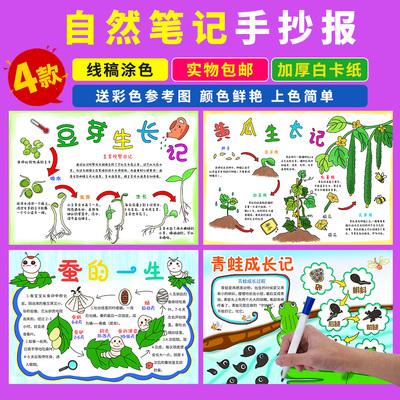 自然笔记小报植物观察日记包邮