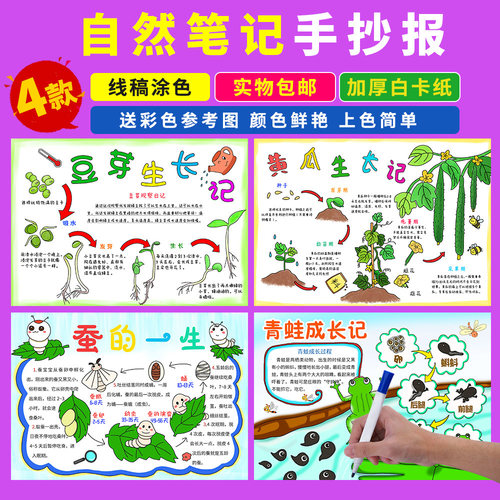 自然笔记小报植物观察日记包邮