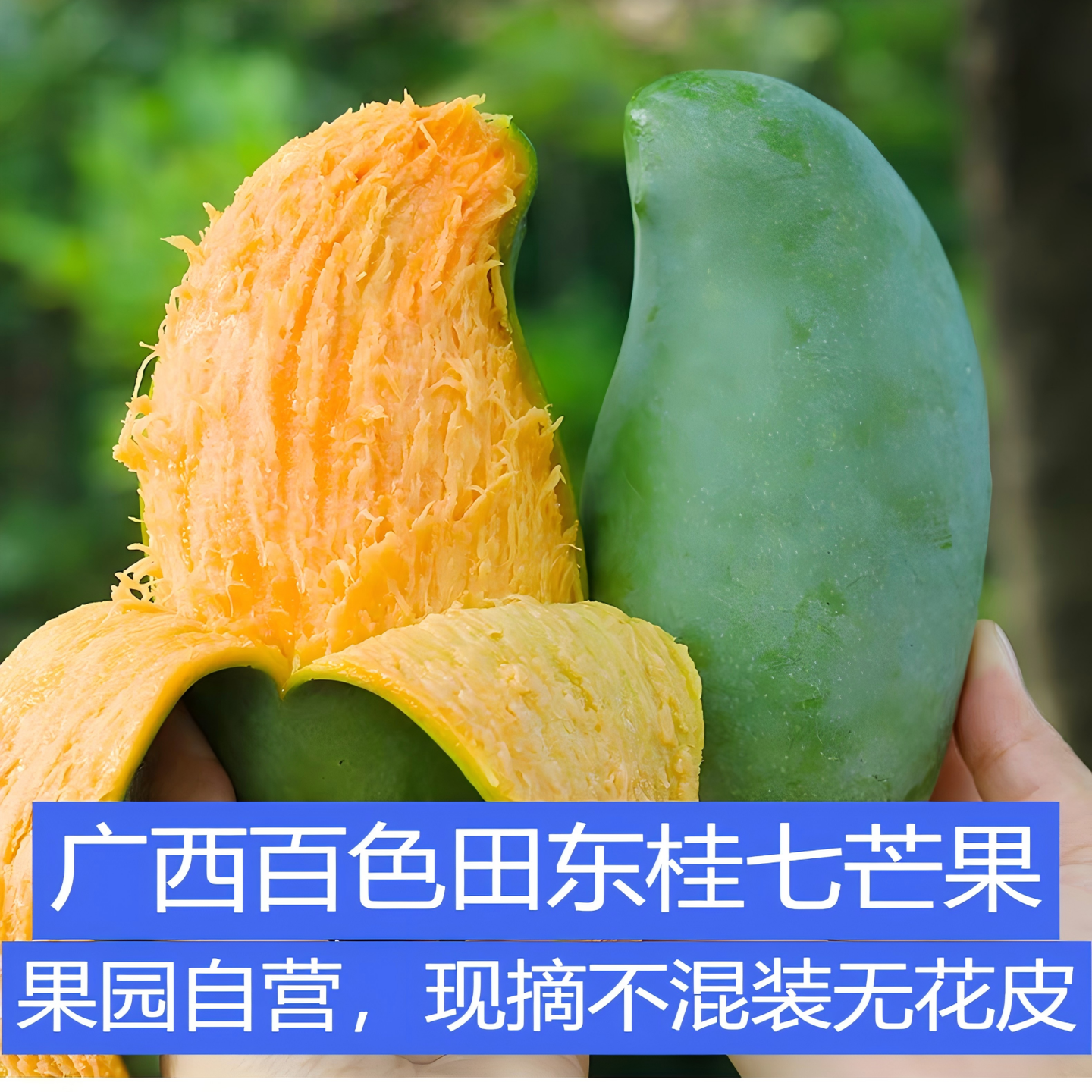 广西桂七芒果包邮现摘现发水果