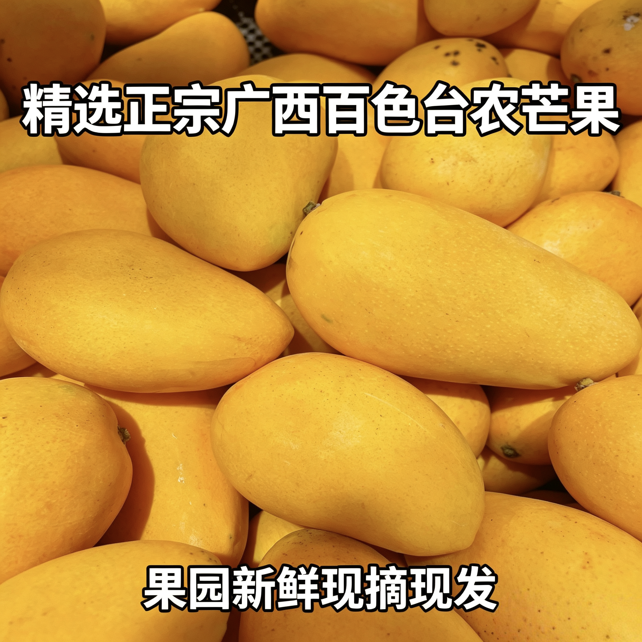 广西台农芒果甜度十足新鲜现摘