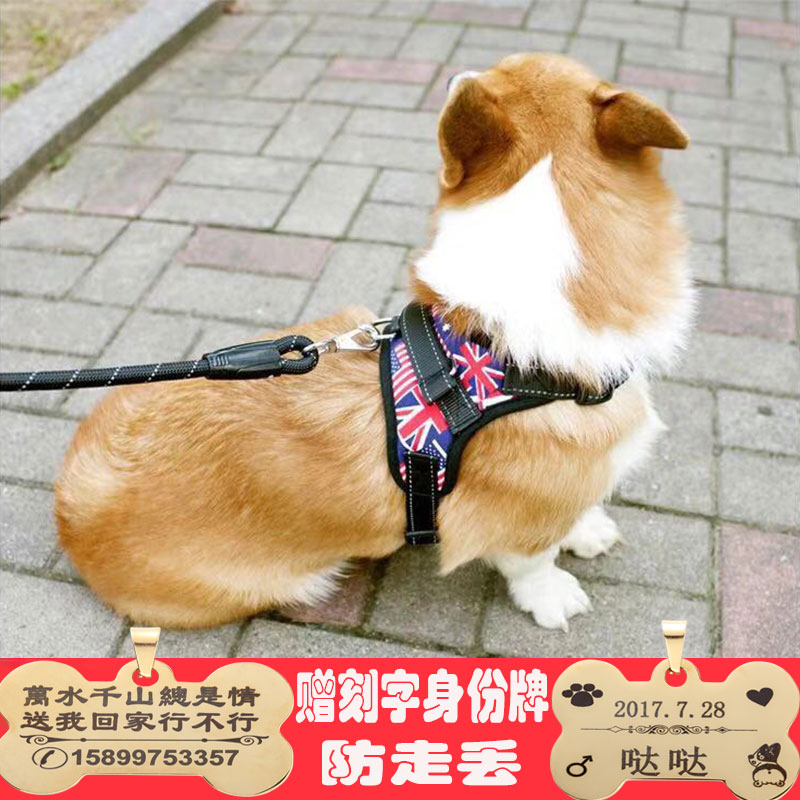 狗狗牵引绳泰迪胸背带刻字狗牌防走丢宠物身份牌中小型犬狗背心式