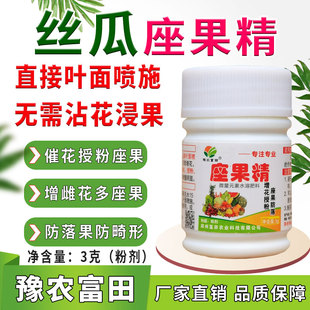 丝瓜座果精叶面喷施代替沾花浸果丝瓜授粉座果膨大增雌花防落果