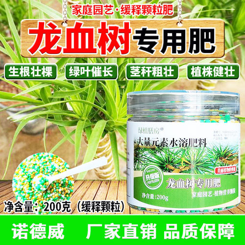 龙血树专用肥龙血树长效缓释肥生根壮棵绿叶健株叶片鲜亮肥厚浓绿