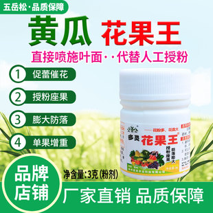花果王黄瓜授粉座果叶面喷施代替人工授粉增雌花多座果膨果防落果