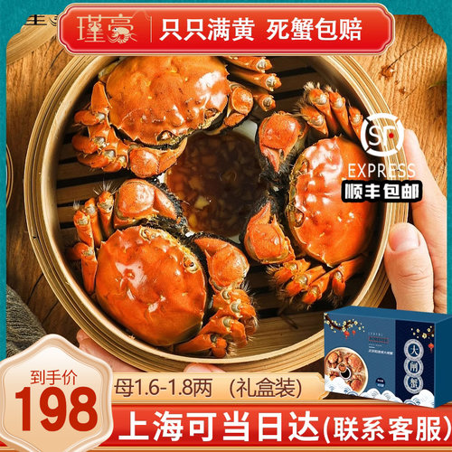 大闸蟹鲜活现货10只礼盒团购优惠