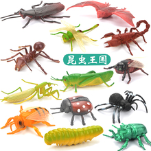 儿童昆虫玩具塑胶仿真动物模型蜘蛛蝴蝶蜜蜂蜈蚣蚂蚁大小摆件套装
