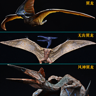仿真翼龙模型塑胶恐龙玩具无齿翼龙风神翼龙始祖鸟儿童男女孩摆件