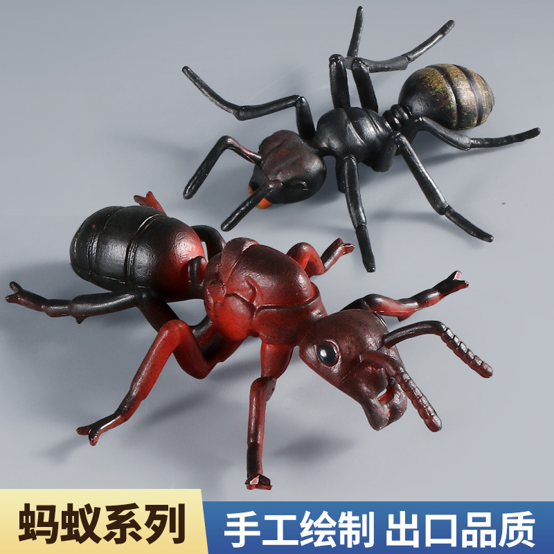 蚂蚁模型塑胶仿真昆虫动物玩具