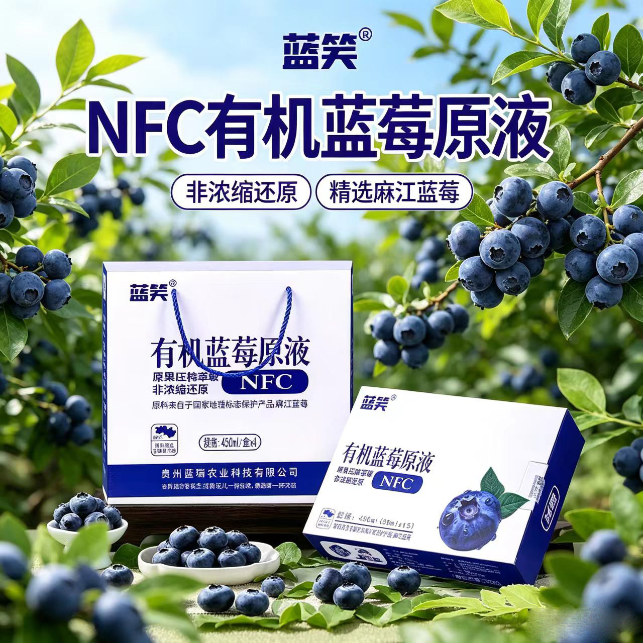 鲜榨有机蓝莓原液NFC无添加原汁