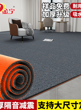 金宁办公室大面积灰色地毯防滑商用门口房间卧室满铺水泥地垫吸水