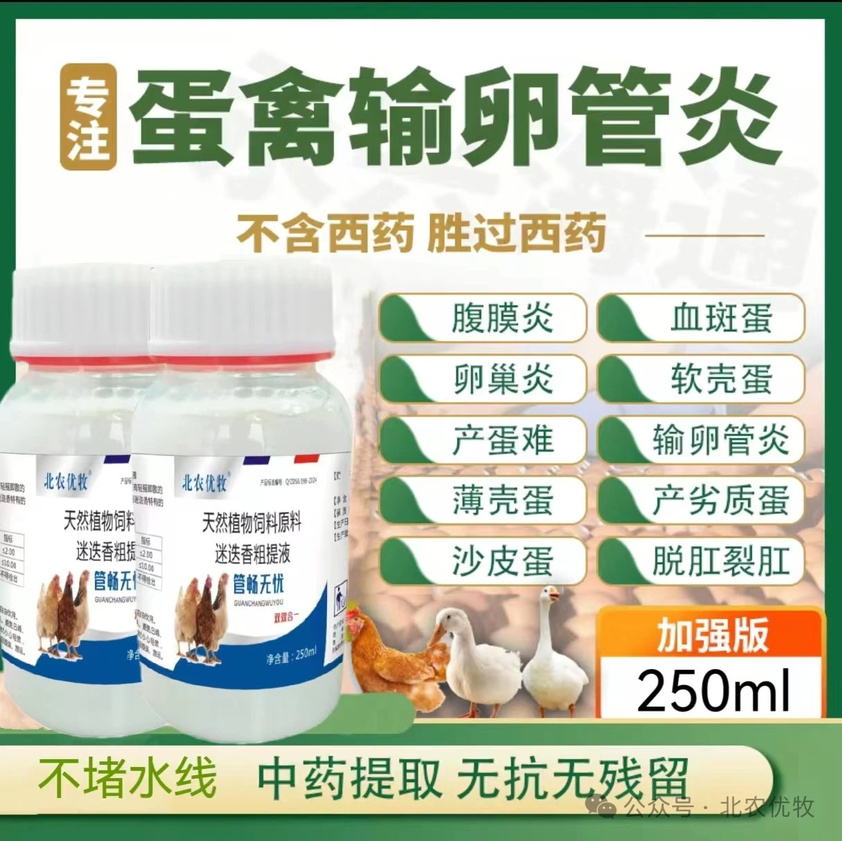 管畅无忧无抗输卵管炎肠炎二合一鸡鸭鹅养殖