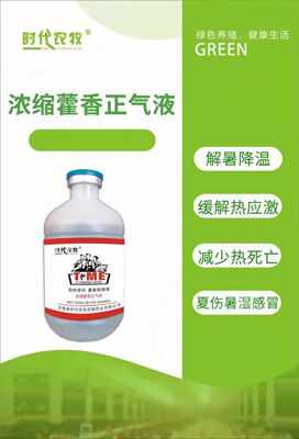 浓缩藿香正气液猪牛羊鸡鸭鹅养殖