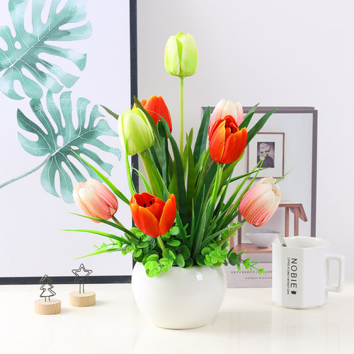 虞美人草价格 虞美人草图片 星期三