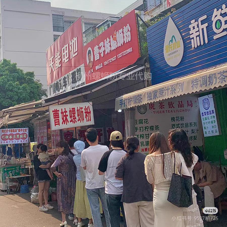 广西柳州螺蛳粉代购：娇姐/顾家/阿娇/曹妹/阿江妈/凤张/真空包装