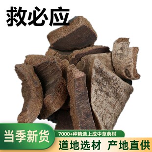 救必应  铁冬青 熊胆木 白银香 米碎木 白木香 羊不吃 500g 包邮
