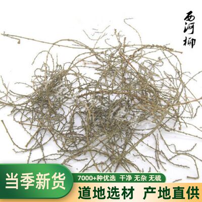 三春柽柳500克包邮中药材