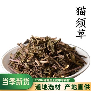 猫须草中药材500g新货泡水云南西双版纳猫须草茶猫须草粉
