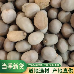 云实子500g中药材 大托叶云实 云实籽 马豆 朝天子 甲木哲 药王子