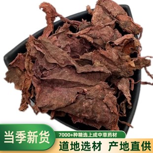 中药材 红天葵 紫背天葵草 红叶 紫背天葵 500克包邮