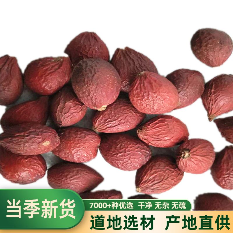 铁树籽凤凰蛋500克包邮中药材
