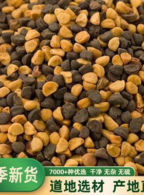 中药材 二丑 黑白二丑 黑丑白丑 喇叭花子 牵牛子 500克包邮