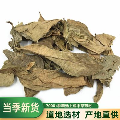 龙利舌叶牛耳500克中药材