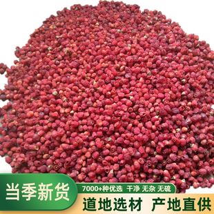 红豆杉果子泡水泡酒果实干500g红豆果子干果种子中药材