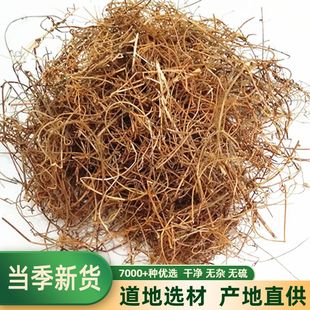 青草药 无头藤 无爷藤 手扎藤 金丝藤 面线藤 无根藤 吐丝藤 500g