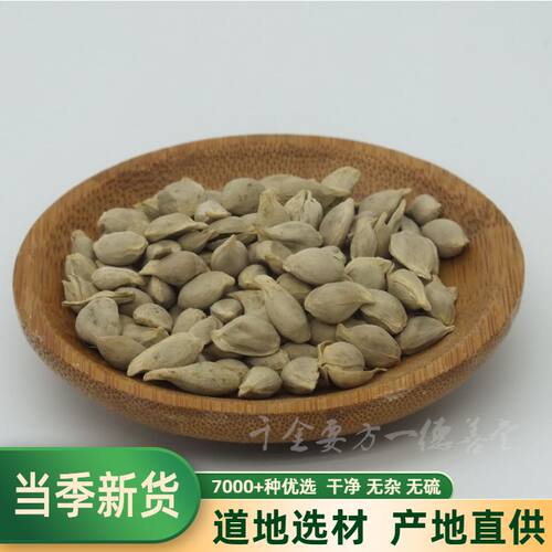 橘子核橘米500克包邮中药材
