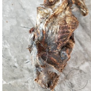 赛隆骨纯骨 中药材塞隆骨 鼢鼠骨500克包邮 地羊 赛龙骨