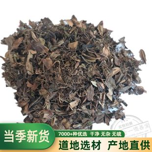 中药材鱼鳖草 金星鱼鳖草瓜子金瓜子菜金丝鱼鳖 抱石莲 500克包邮