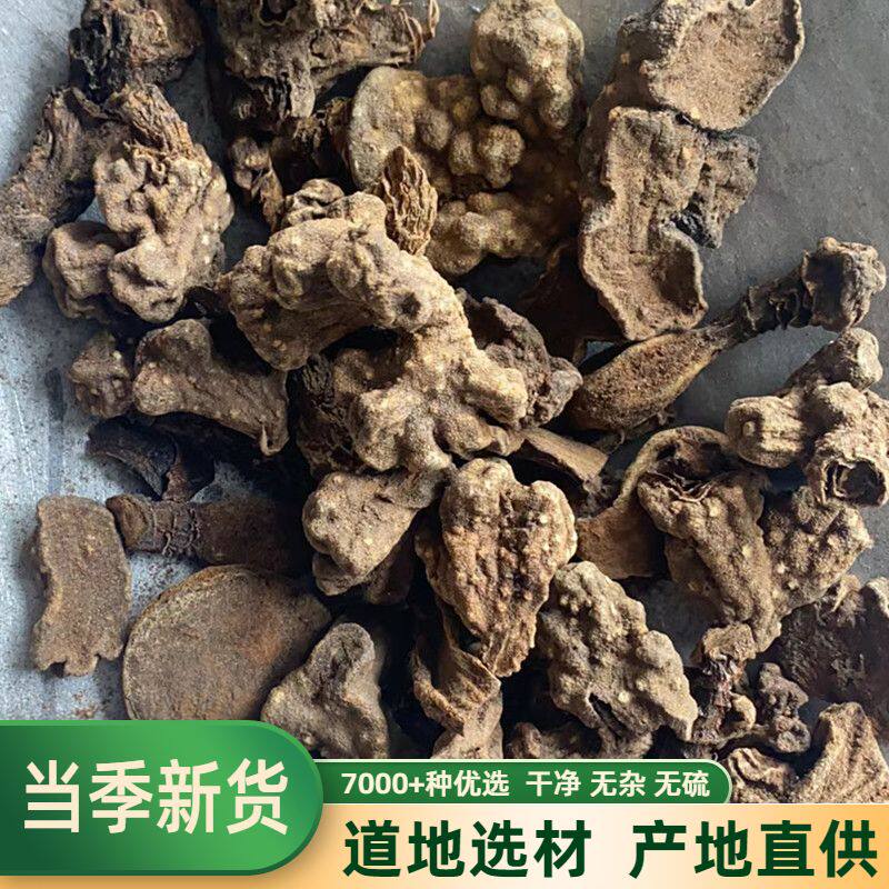 中药材 红冬蛇菰 文王一支笔 借母怀胎 鹿仙草蛇菇  石上莲500克 - 实物图