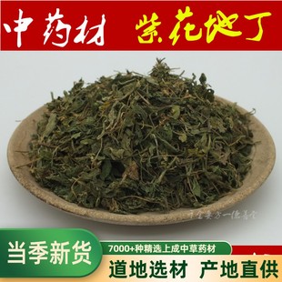 紫花地丁中药材地丁子地丁500g茶地丁草柴花苦地丁紫地丁草药