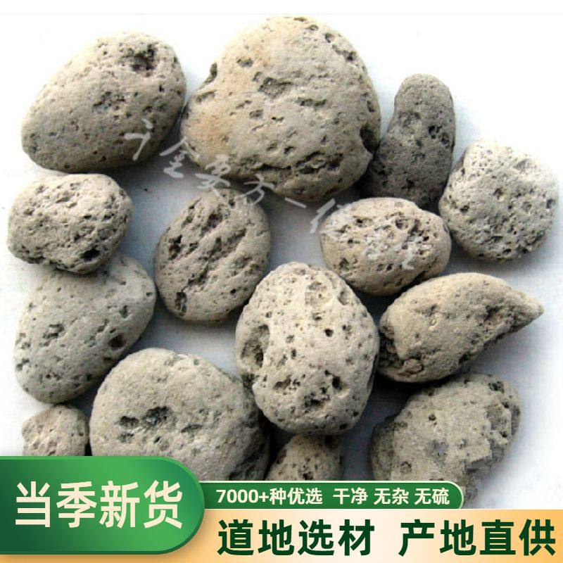 海浮石中药材500克 海浮石精选 可磨海浮石粉 水花石新货