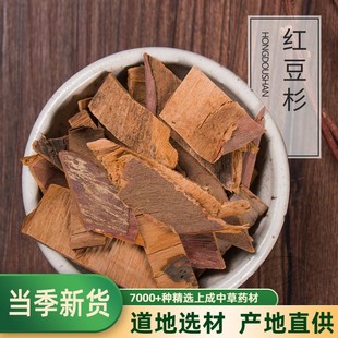 中药材 红豆杉树皮 红豆杉皮 内含紫彬醇 中药材500克 包邮