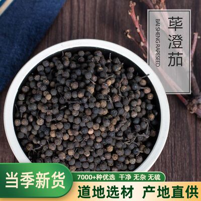 荜澄茄山鸡椒木姜子中药材