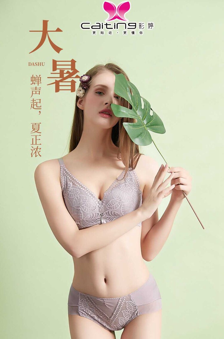 100/2件断码特价 正品彩婷新款3151中厚AB杯聚拢无钢圈文胸内衣