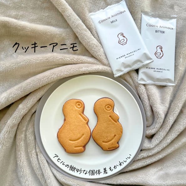 日本比利时布鲁塞尔巧克力大师PIERRE MARCOLINI巧克力曲奇罐