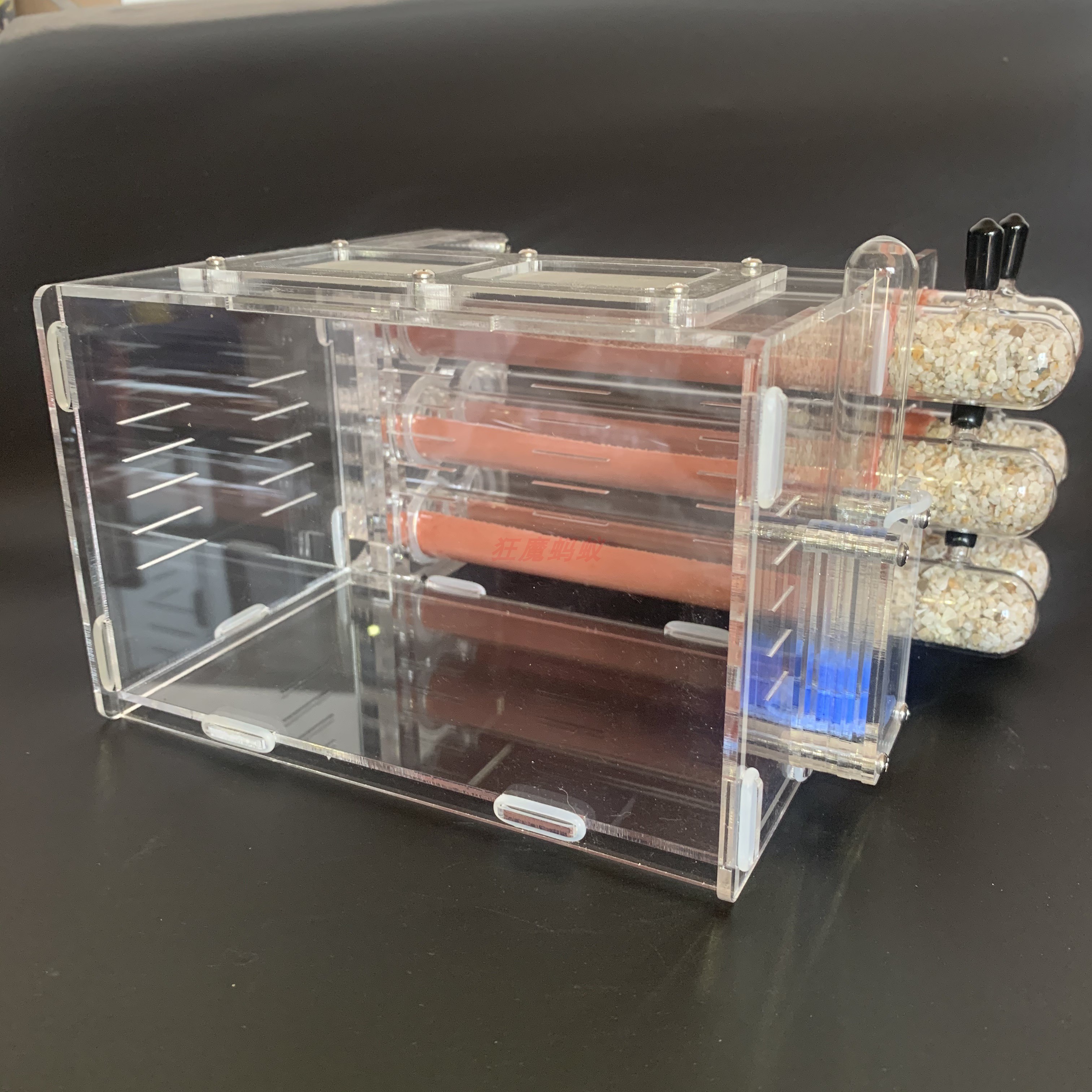 25口径试管大型蚁尺寸活动区狂魔