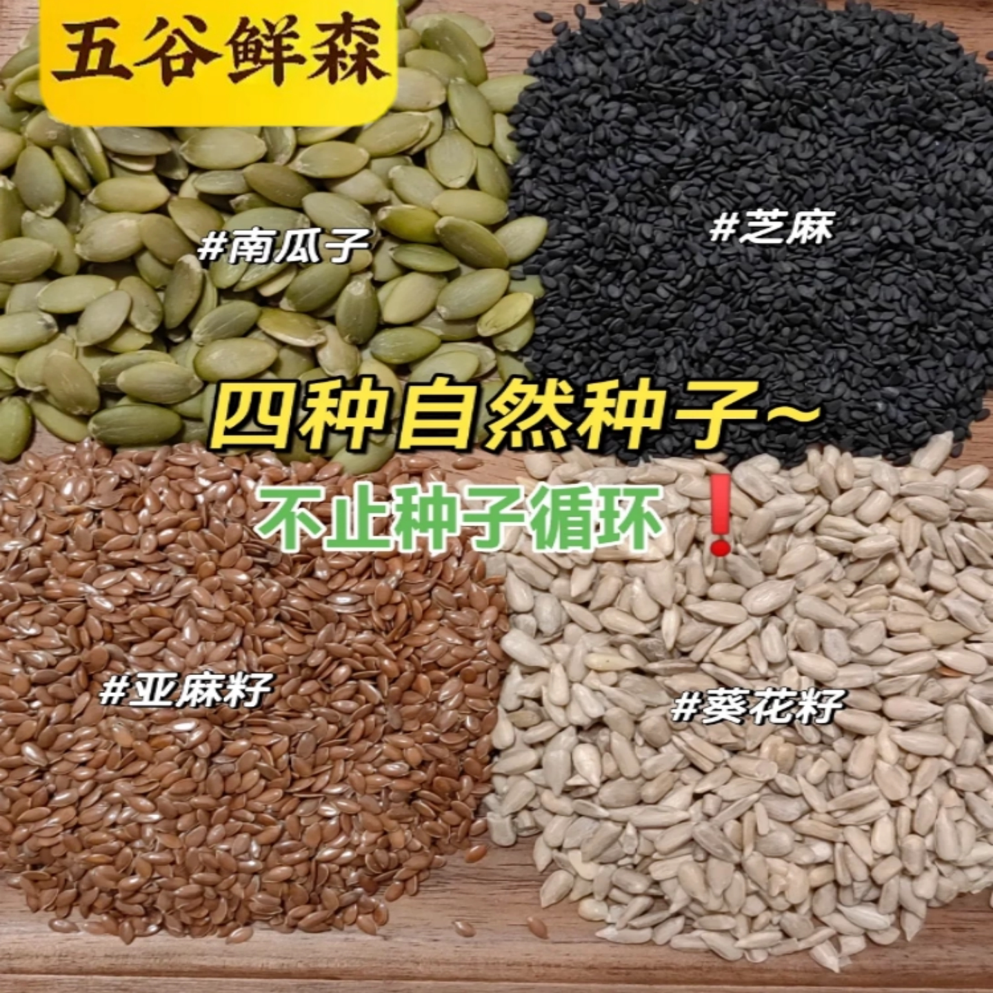 种子循环亚麻籽葵花籽黑芝麻南瓜子组合烘焙熟种子循环粉