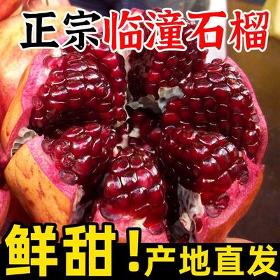 陕西临潼石榴新鲜采摘特产水果当季石榴礼盒装包邮