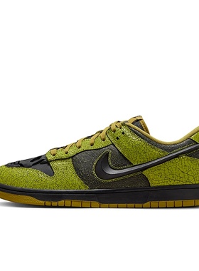 Nike Dunk Low 绿黑色 男女通用 低帮 休闲运动板鞋HV6103-300