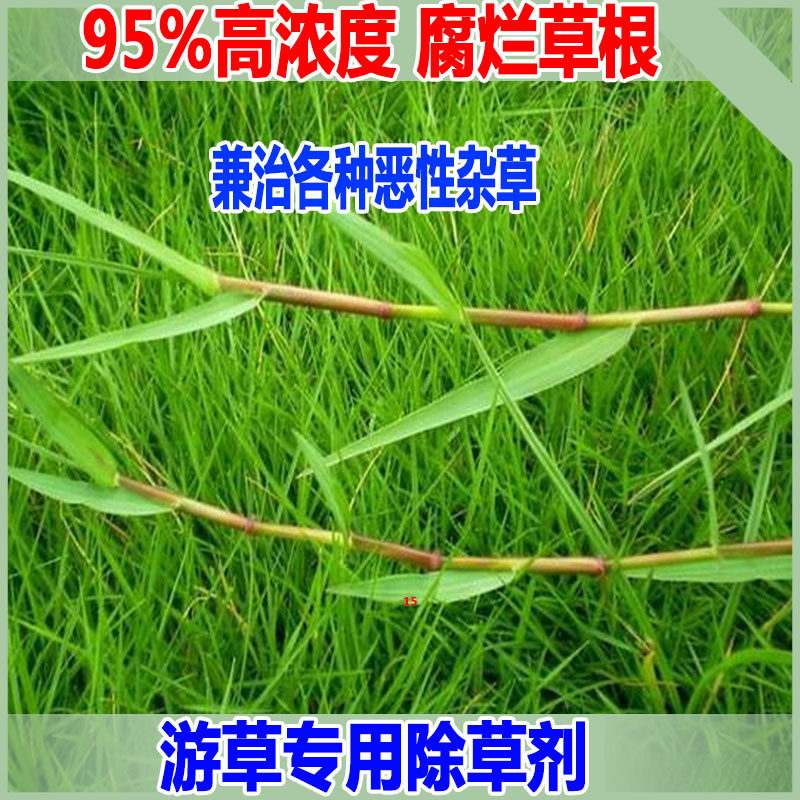 游草除草剂水游草专用除草剂牛筋草除草草甘膦除草剂