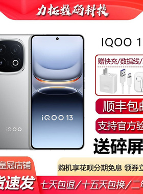 IQOO 13 骁龙8至尊版 电竞旗舰芯片Q2 防水防尘高性能5G智能手机