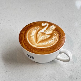 韩国Koala Latte Cup 陶瓷咖啡杯拿铁拉花杯考拉熊杯家用意式压纹