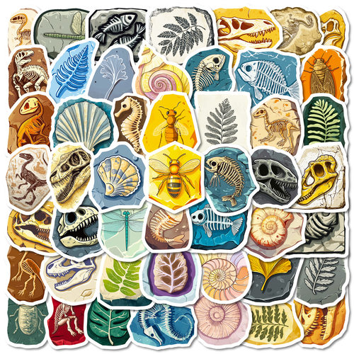56张复古生物化石贴画笔记本电脑
