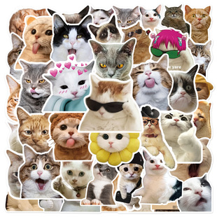 50张可爱萌宠猫咪创意贴画笔记本电脑手机壳旅行箱电动车头盔贴纸