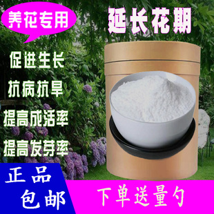 阿司匹林养花粉末乙酰水杨酸苗木花卉兰花盆栽促生长阿斯匹林农用